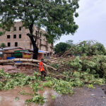 Ada East Assembly resolves tree dispute
