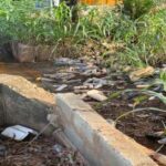 Expert calls for stricter sanitation law enforcement to curb flooding