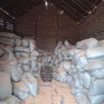 Harvest without buyers: market failures push farmers to the brink