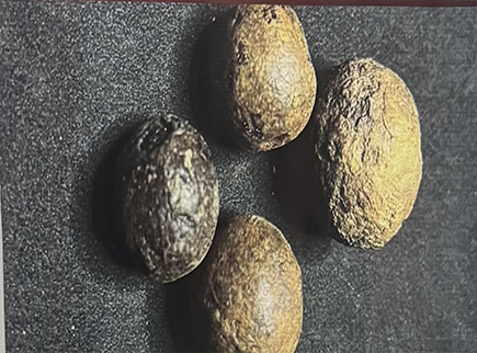 Researchers use scientific innovation, cultural heritage to discover Ghana’s first musket balls