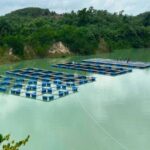 Fisheries Minister Launches Project to Transform Abandoned Pits into Fish Farms