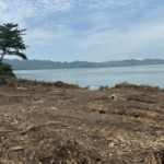 Galamsey, encroachment threaten Lake Bosomtwe restoration gains – Oheneba Poku Foundation