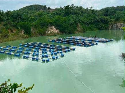 Fisheries Minister Launches Project to Transform Abandoned Pits into Fish Farms