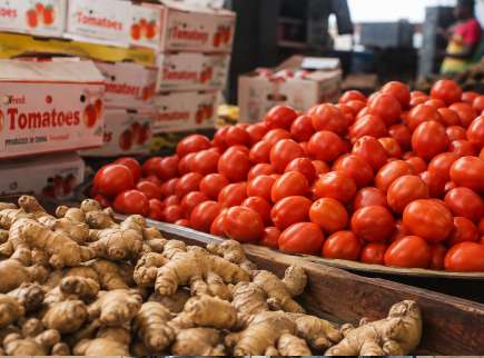 Ghana’s tomato, ginger shortfalls deepen import bill, CSIR researchers say